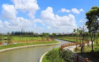奉贤完成中小河道周边470家企业污染源整治