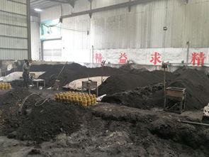 河南组织18个暗访核查组 曝光一批典型环境污染问题
